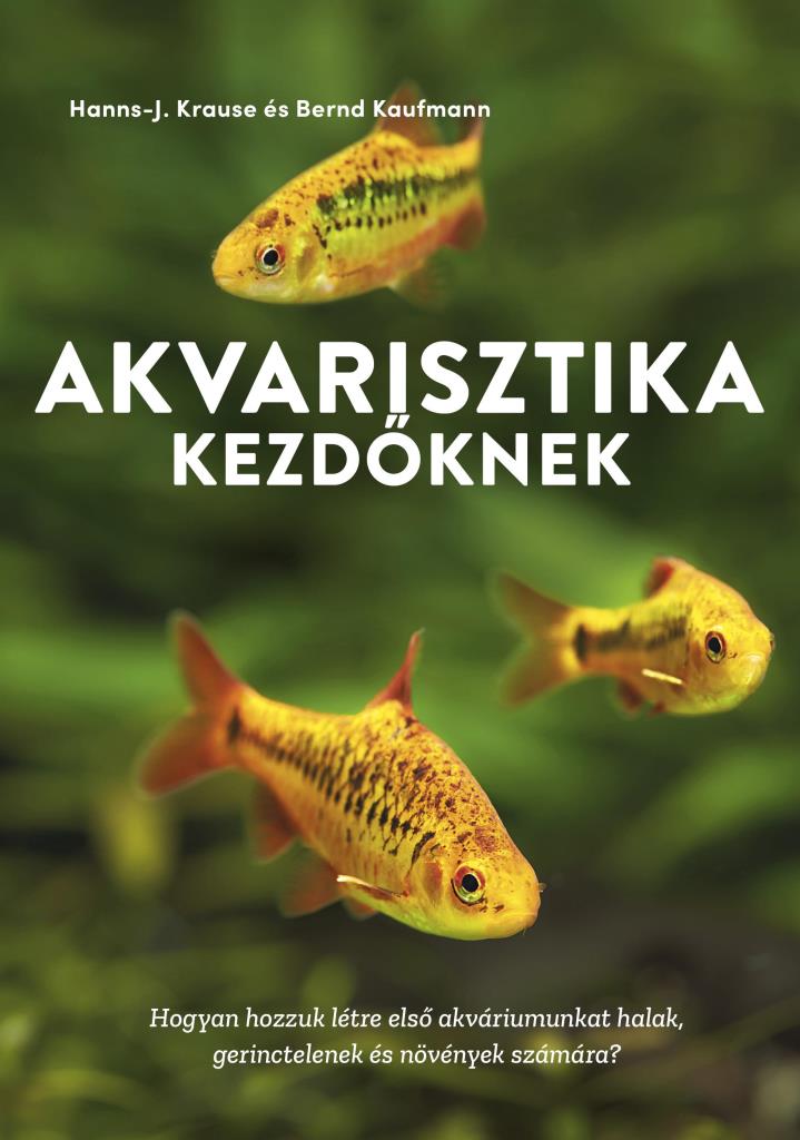 AKVARISZTIKA KEZDŐKNEK