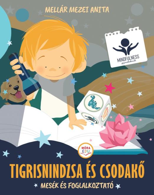 TIGRISNINDZSA ÉS CSODAKŐ - MESÉK ÉS FOGLALKOZTATÓ