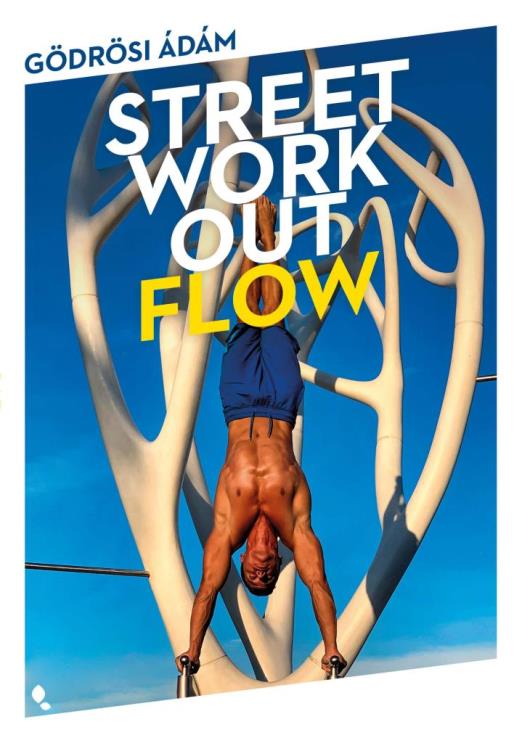 STREET WORKOUT FLOW
