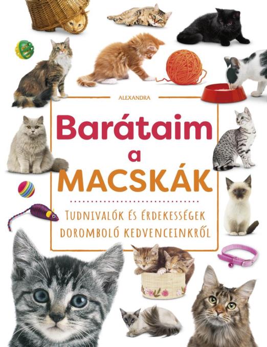 Barátaim, a macskák