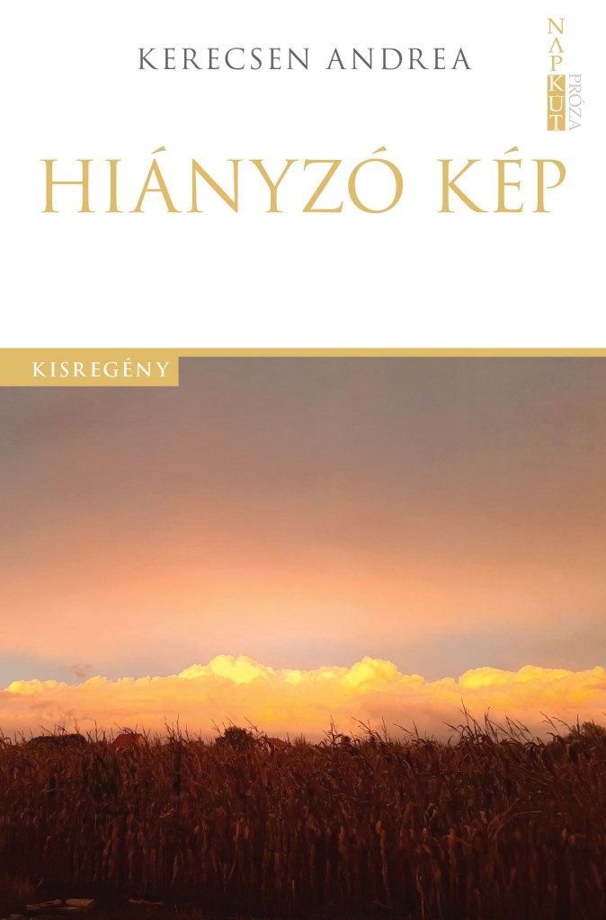 HIÁNYZÓ KÉP - KISREGÉNY
