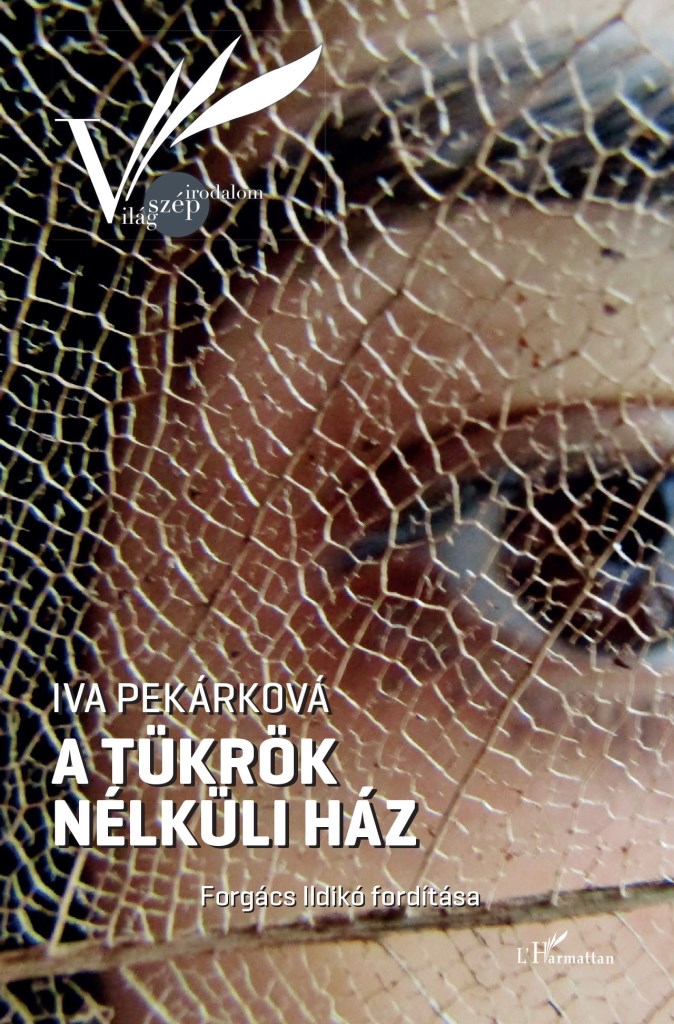 A TÜKRÖK NÉLKÜLI HÁZ