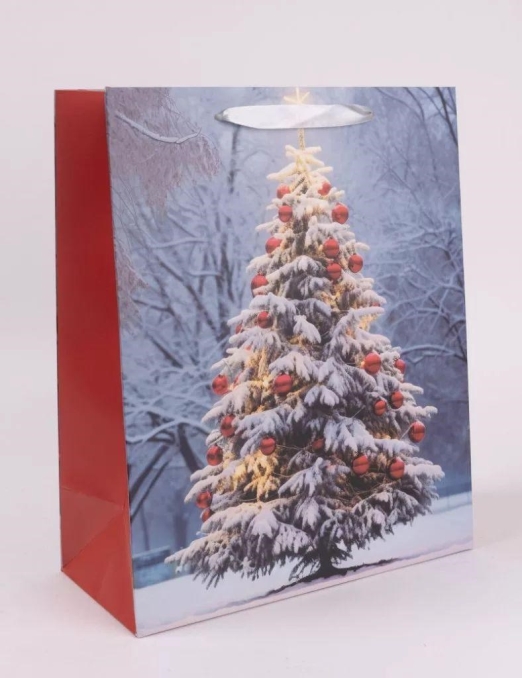 PT.M.HAVAS FFA+PIR.DÍS26*32