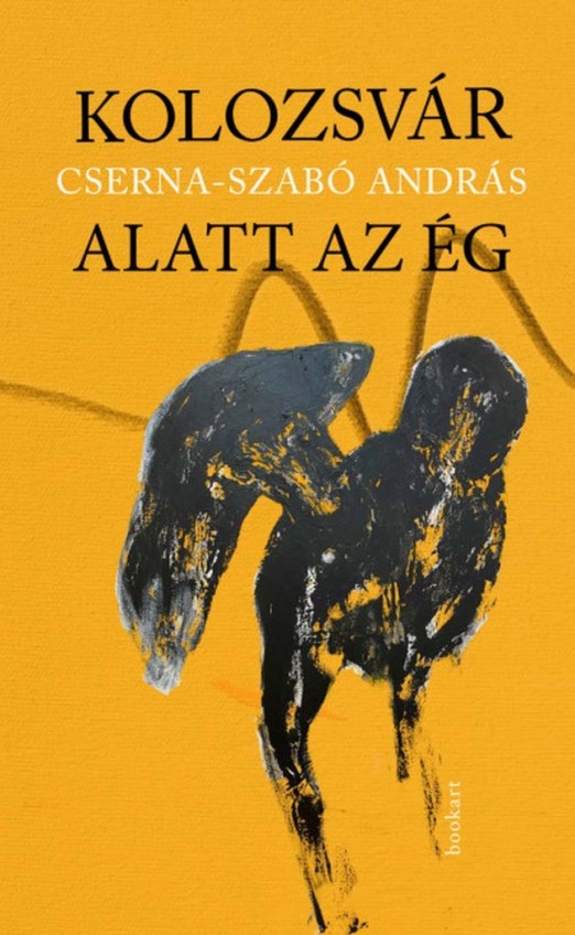 KOLOZSVÁR ALATT AZ ÉG