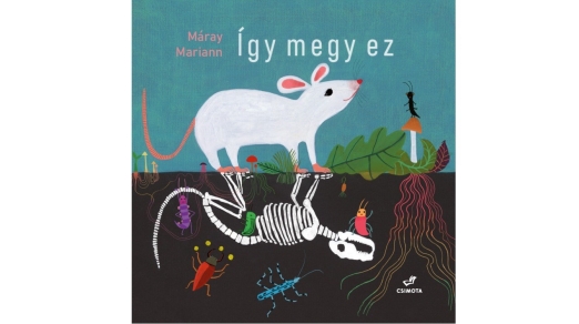ÍGY MEGY EZ