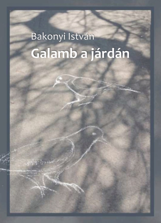 GALAMB A JÁRDÁN