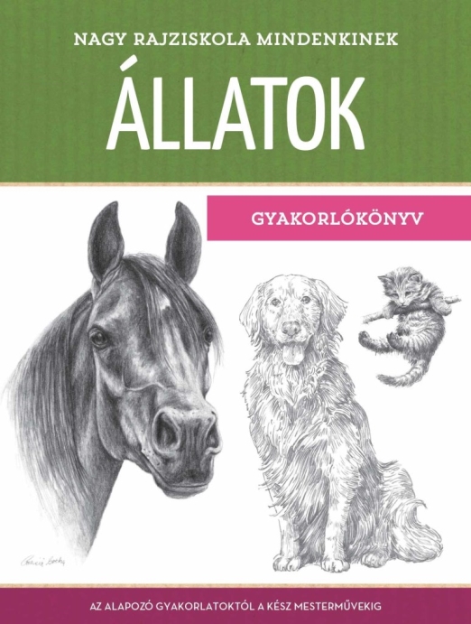 NAGY RAJZISKOLA MINDENKINEK - ÁLLATOK (GYAKORLÓKÖNYV)