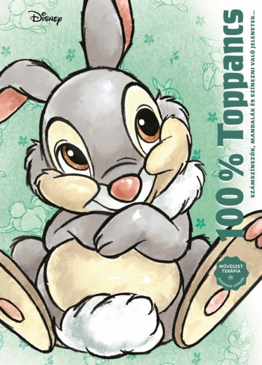 DISNEY - 100% TOPPANCS