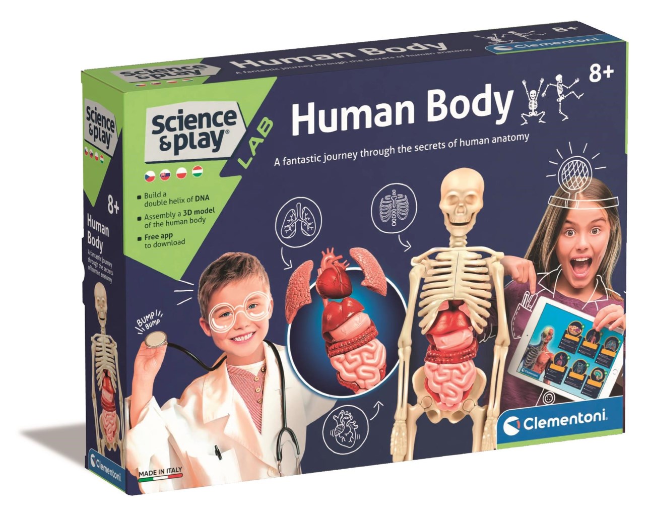 AZ EMBERI TEST TUDOMÁNYOS KÉSZLET