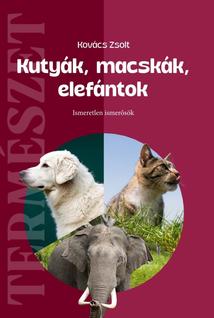 KUTYÁK, MACSKÁK, ELEFÁNTOK - ISMERETLEN ISMERŐSÖK ( TERMÉSZET)