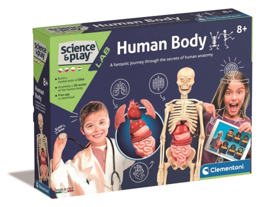 AZ EMBERI TEST TUDOMÁNYOS KÉSZLET