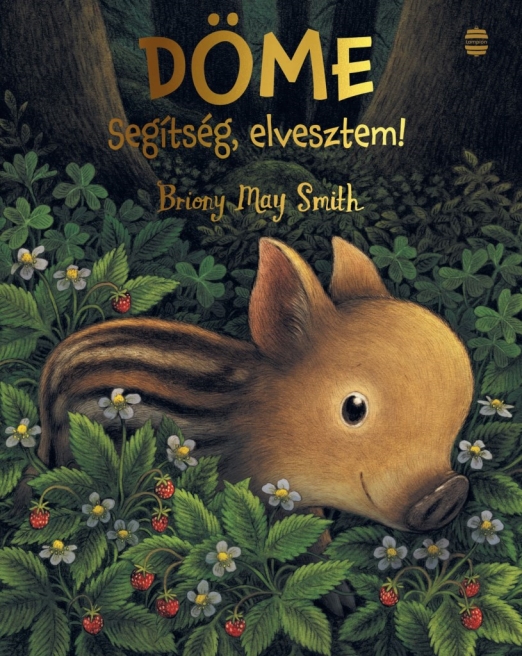 DÖME - SEGÍTSÉG, ELVESZTEM!