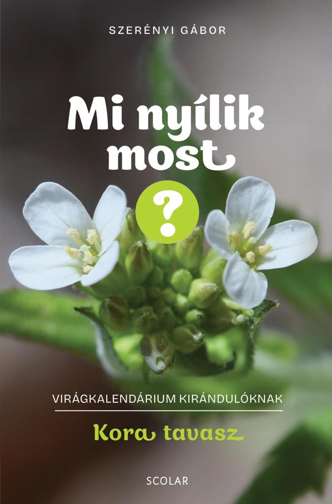 MI NYÍLIK MOST? - KORA TAVASZ (VIRÁGKALENDÁRIUM KIRÁNDULÓKNAK)