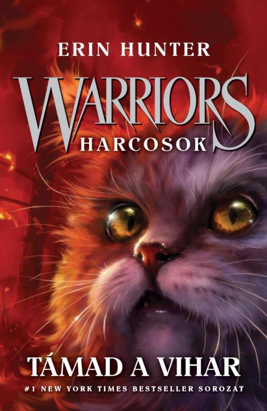 WARRIORS - HARCOSOK 4. - TÁMAD A VIHAR