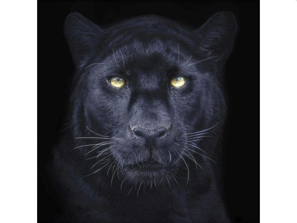 PANTHER SELFIE SQUARE