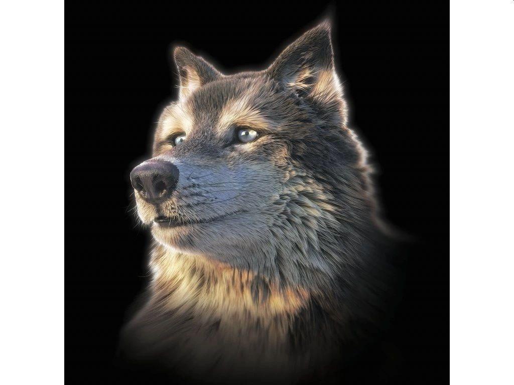 WOLF SELFIE SQUARE