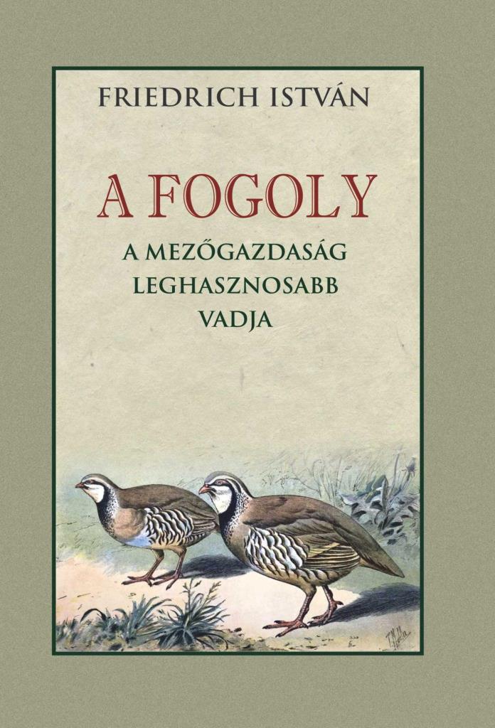 A FOGOLY - A MEZŐGAZDASÁG LEGHASZNOSABB VADJA