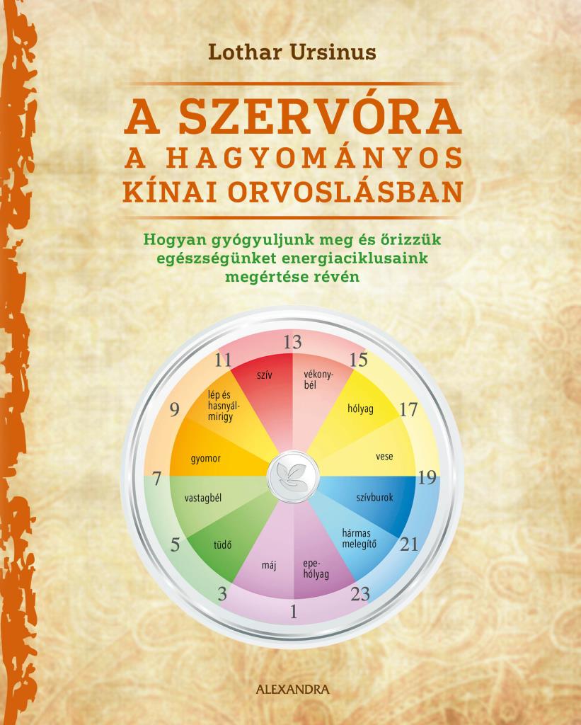 A SZERVÓRA A HAGYOMÁNYOS KÍNAI ORVOSLÁSBAN