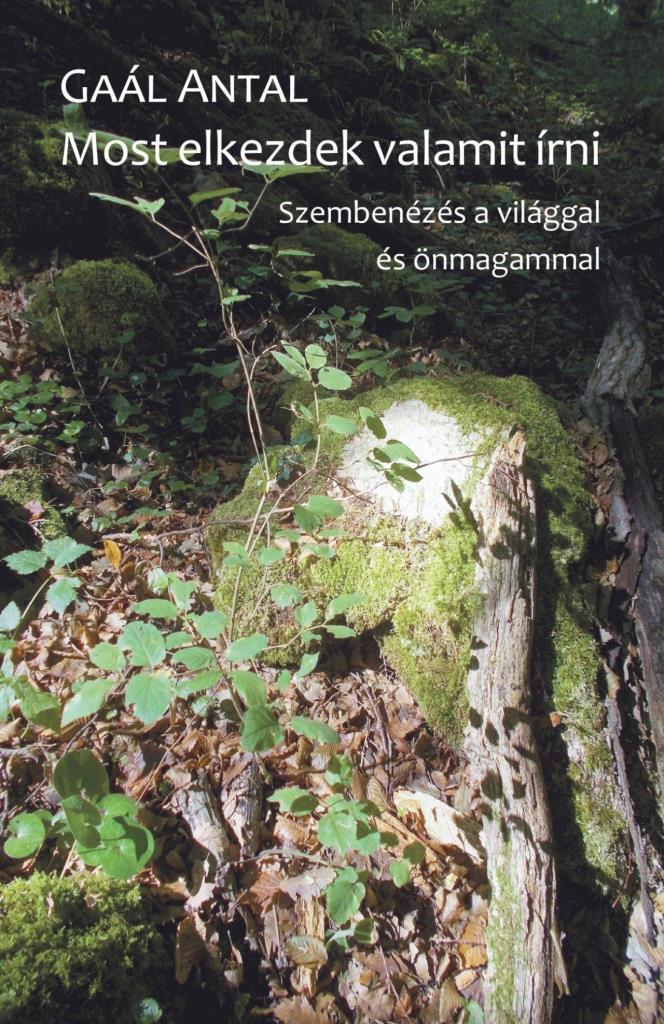MOST ELKEZDEK VALAMIT ÍRNI - SZEMBENÉZÉS  A VILÁGGAL ÉS ÖNMAGAMMAL