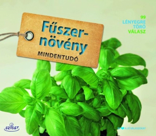 FŰSZERNÖVÉNY MINDENTUDÓ