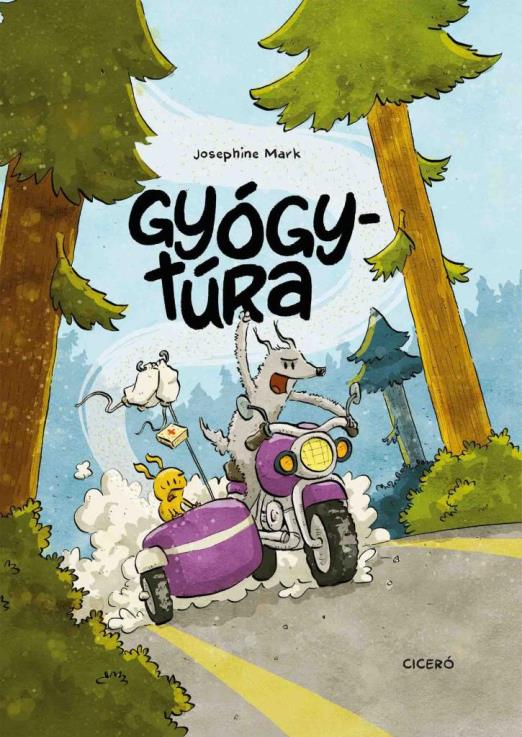 GYÓGYTÚRA
