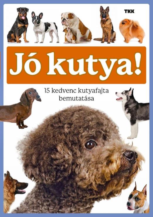 JÓ KUTYA - 15 KEDVENC KUTYAFAJTA BEMUTATÁSA
