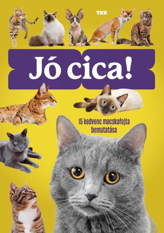 JÓ CICA - 15 KEDVENC MACSKAFAJTA BEMUTATÁSA