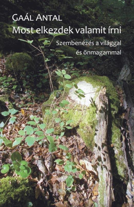 MOST ELKEZDEK VALAMIT ÍRNI - SZEMBENÉZÉS  A VILÁGGAL ÉS ÖNMAGAMMAL