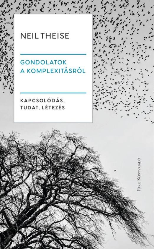 GONDOLATOK A KOMPLEXITÁSRÓL - KAPCSOLÓDÁS, TUDAT, LÉTEZÉS