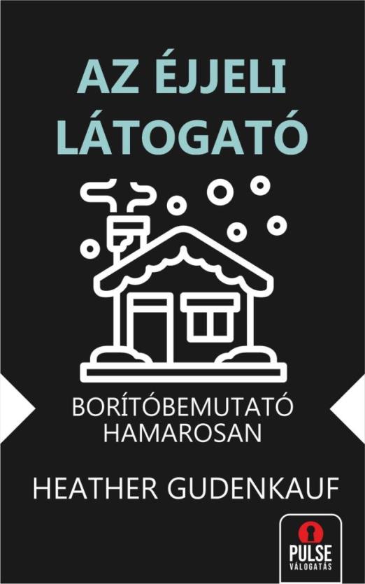AZ ÉJJELI LÁTOGATÓ
