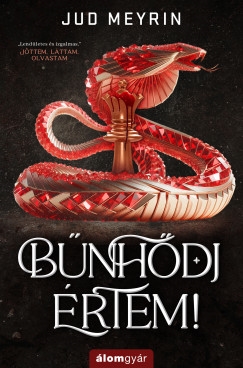 Bűnhődj értem!