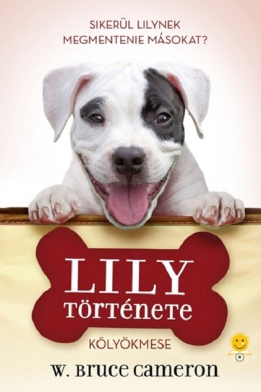 LILY TÖRTÉNETE - KÖLYÖKMESE