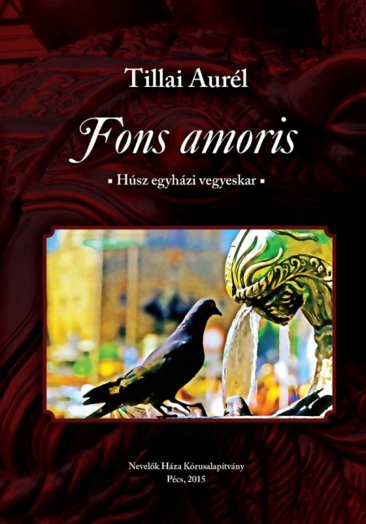 FONS AMORIS - HÚSZ EGYHÁZI VEGYESKAR