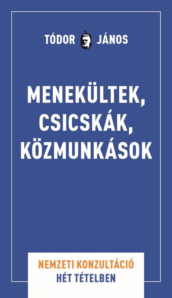 MENEKÜLTEK, CSICSKÁK, KÖZMUNKÁSOK - NEMZETI KONZULTÁCIÓ HÉT TÉTELBEN
