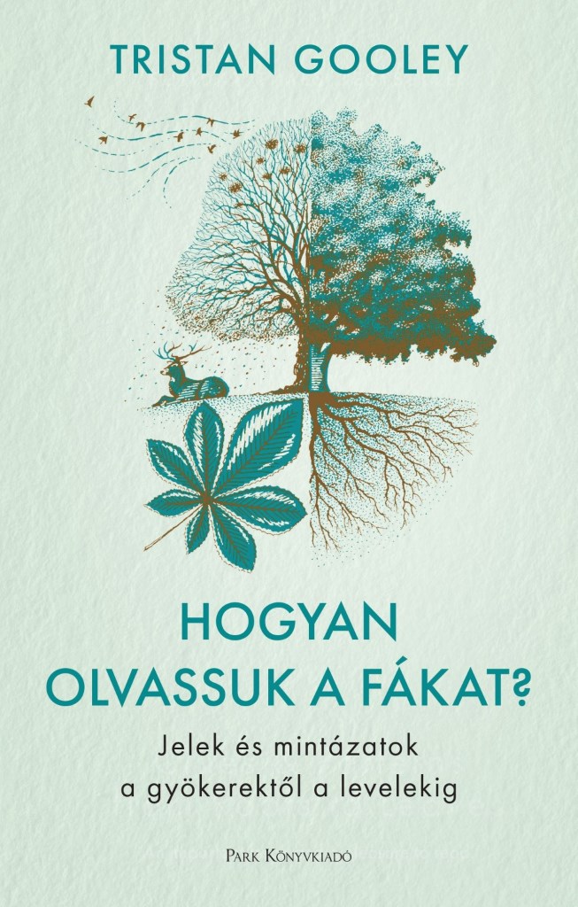 HOGYAN OLVASSUK A FÁKAT? - JELEK ÉS MINTÁZATOK A GYÖKEREKTŐL A LEVELEKIG