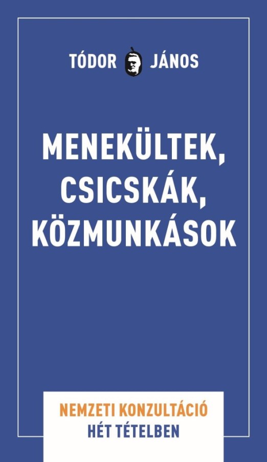 MENEKÜLTEK, CSICSKÁK, KÖZMUNKÁSOK - NEMZETI KONZULTÁCIÓ HÉT TÉTELBEN