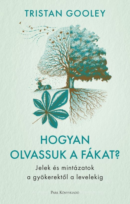 HOGYAN OLVASSUK A FÁKAT? - JELEK ÉS MINTÁZATOK A GYÖKEREKTŐL A LEVELEKIG