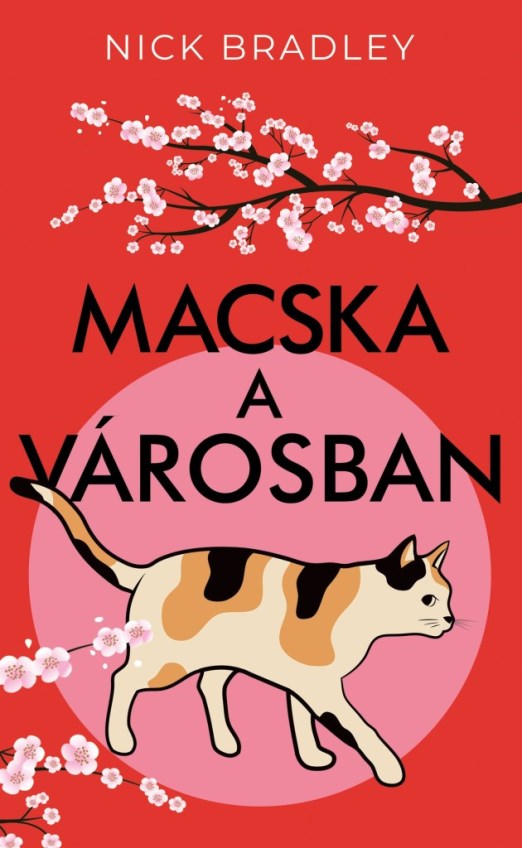 MACSKA A VÁROSBAN