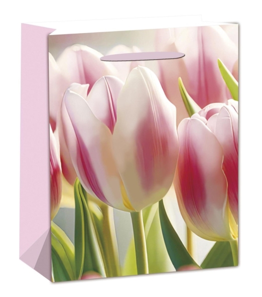 PT.M.RSZ.TULIPÁNOK    18*23